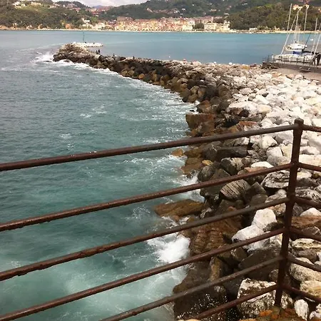 Mediterranea