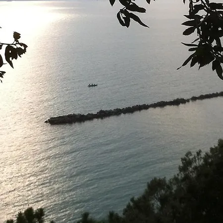 Mediterranea