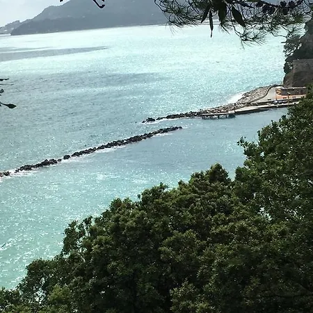 Apartman Mediterranea