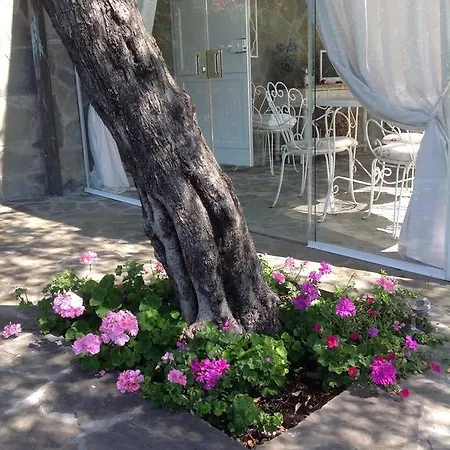 Mediterranea Διαμέρισμα